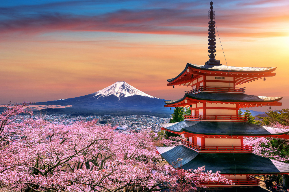cherry blossoms spring chureito pagoda fuji mountain sunset japan